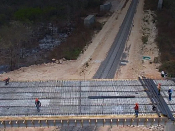 construction on the mayan train cuts through the forest