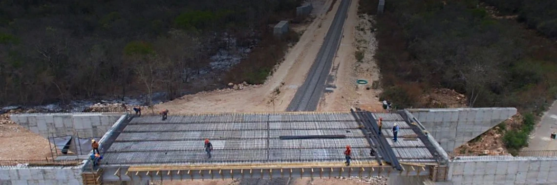 construction on the mayan train cuts through the forest