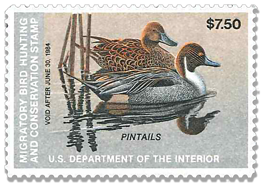 Pintail Duck stamp 1987
